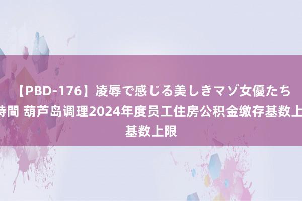 【PBD-176】凌辱で感じる美しきマゾ女優たち8時間 葫芦岛调理2024年度员工住房公积金缴存基数上限