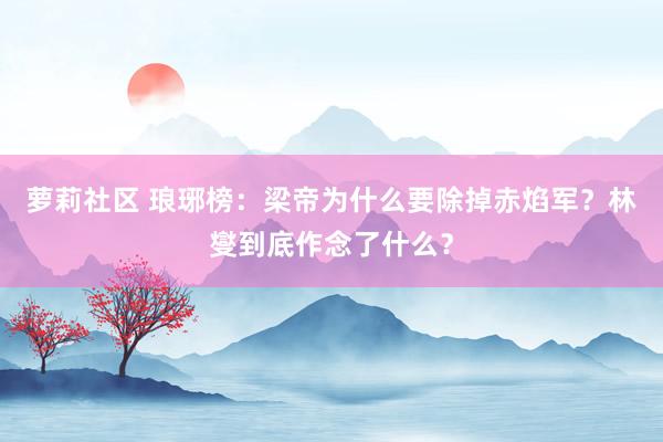 萝莉社区 琅琊榜：梁帝为什么要除掉赤焰军？林燮到底作念了什么？