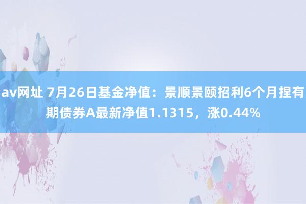 av网址 7月26日基金净值：景顺景颐招利6个月捏有期债券A最新净值1.1315，涨0.44%