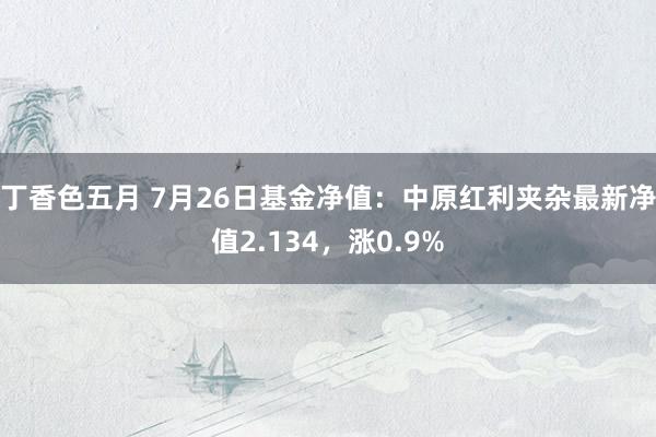 丁香色五月 7月26日基金净值：中原红利夹杂最新净值2.134，涨0.9%