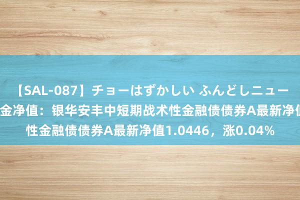 【SAL-087】チョーはずかしい ふんどしニューハーフ 2 7月26日基金净值：银华安丰中短期战术性金融债债券A最新净值1.0446，涨0.04%