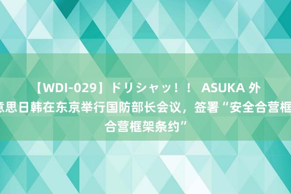 【WDI-029】ドリシャッ！！ ASUKA 外媒：好意思日韩在东京举行国防部长会议，签署“安全合营框架条约”