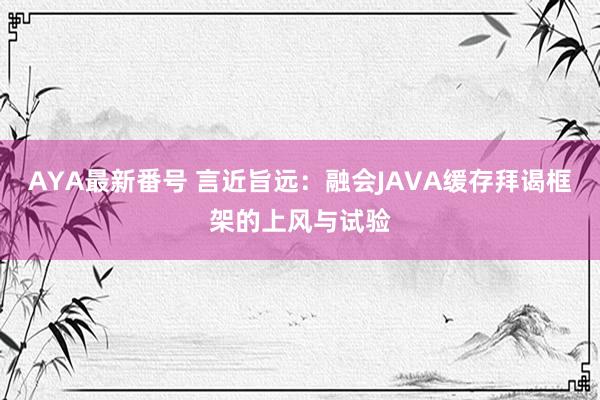 AYA最新番号 言近旨远：融会JAVA缓存拜谒框架的上风与试验