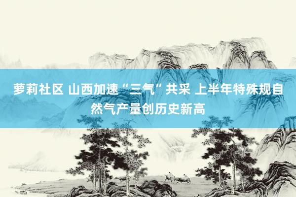 萝莉社区 山西加速“三气”共采 上半年特殊规自然气产量创历史新高