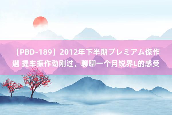 【PBD-189】2012年下半期プレミアム傑作選 提车振作劲刚过，聊聊一个月锐界L的感受