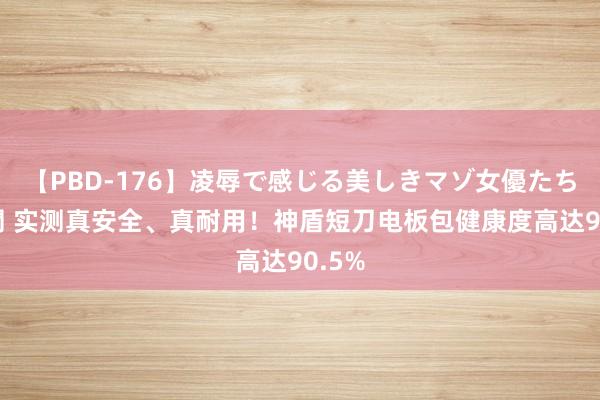 【PBD-176】凌辱で感じる美しきマゾ女優たち8時間 实测真安全、真耐用！神盾短刀电板包健康度高达90.5%