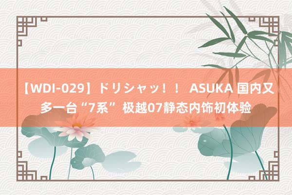 【WDI-029】ドリシャッ！！ ASUKA 国内又多一台“7系” 极越07静态内饰初体验