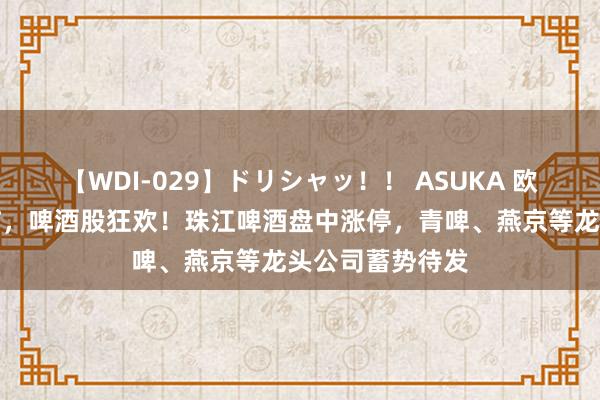 【WDI-029】ドリシャッ！！ ASUKA 欧洲杯决赛季驾临，啤酒股狂欢！珠江啤酒盘中涨停，青啤、燕京等龙头公司蓄势待发