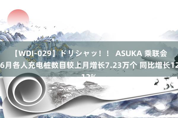 【WDI-029】ドリシャッ！！ ASUKA 乘联会：6月各人充电桩数目较上月增长7.23万个 同比增长12%