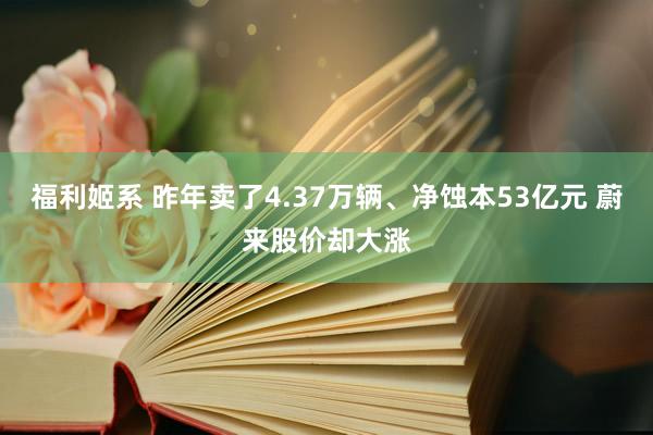 福利姬系 昨年卖了4.37万辆、净蚀本53亿元 蔚来股价却大涨