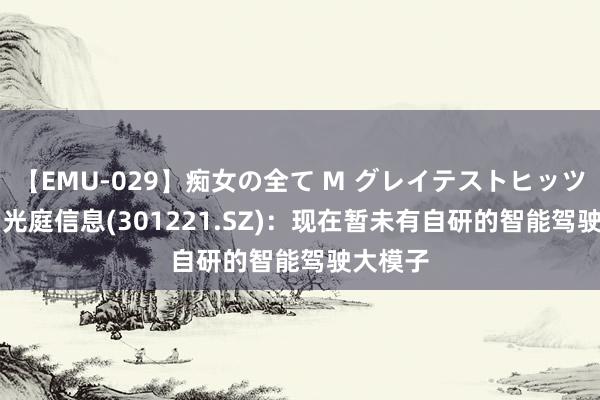 【EMU-029】痴女の全て M グレイテストヒッツ 4時間 光庭信息(301221.SZ)：现在暂未有自研的智能驾驶大模子