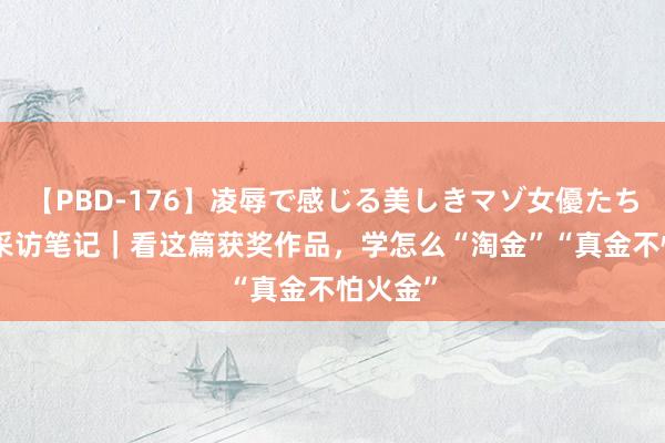 【PBD-176】凌辱で感じる美しきマゾ女優たち8時間 采访笔记｜看这篇获奖作品，学怎么“淘金”“真金不怕火金”