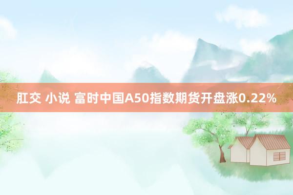 肛交 小说 富时中国A50指数期货开盘涨0.22%