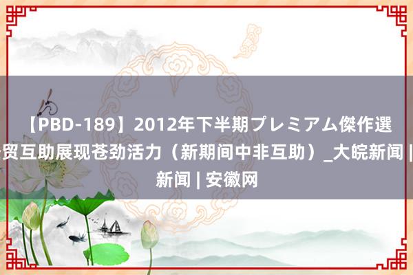 【PBD-189】2012年下半期プレミアム傑作選 中非经贸互助展现苍劲活力（新期间中非互助）_大皖新闻 | 安徽网