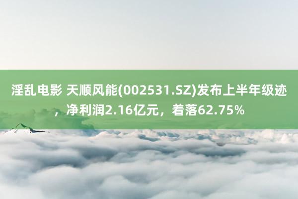 淫乱电影 天顺风能(002531.SZ)发布上半年级迹，净利润2.16亿元，着落62.75%